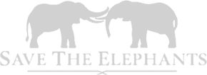 Save the Elephants
