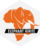 elephantignite
